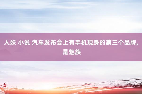 人妖 小说 汽车发布会上有手机现身的第三个品牌， 是魅族