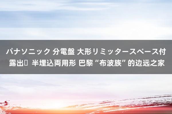 パナソニック 分電盤 大形リミッタースペース付 露出・半埋込両用形 巴黎“布波族”的边远之家