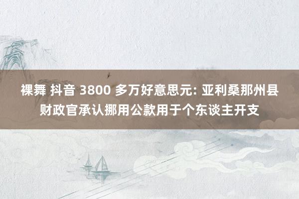 裸舞 抖音 3800 多万好意思元: 亚利桑那州县财政官承认挪用公款用于个东谈主开支