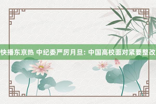 快播东京热 中纪委严厉月旦: 中国高校面对紧要整改