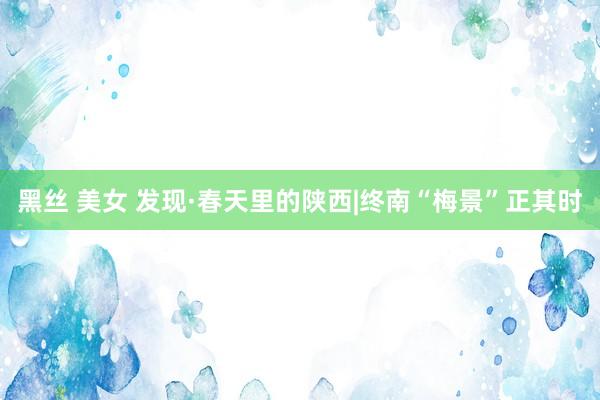 黑丝 美女 发现·春天里的陕西|终南“梅景”正其时